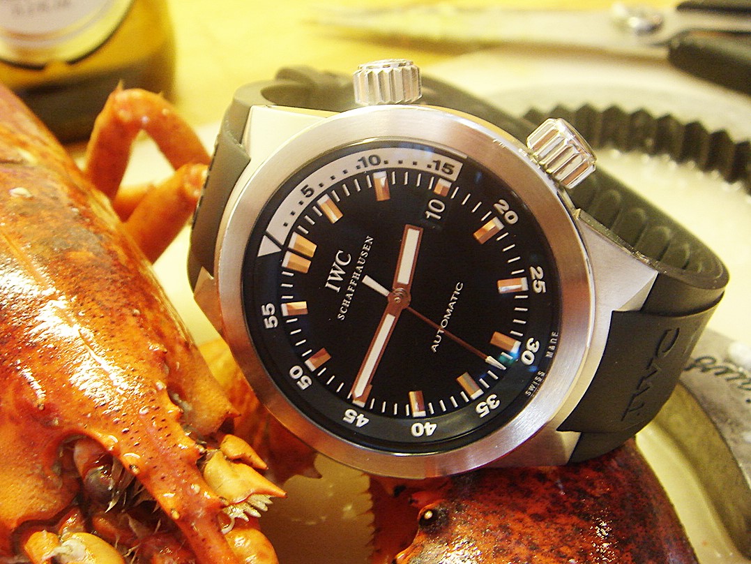 Iwc aquatimer outlet 3548